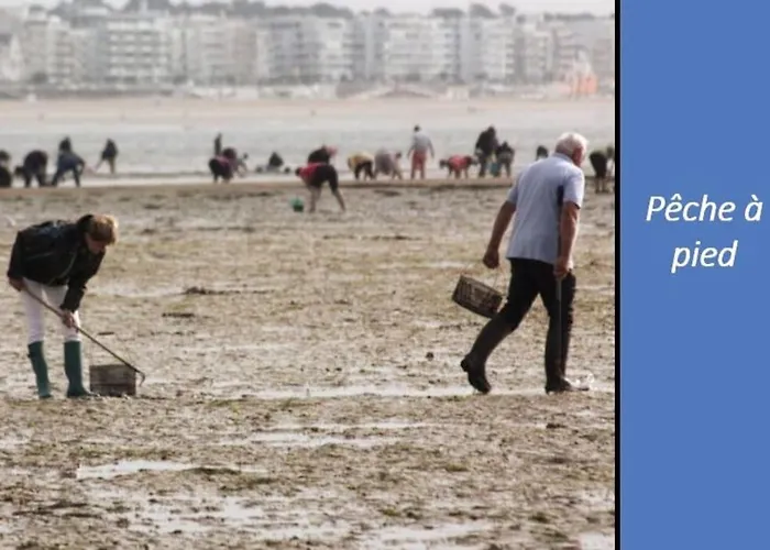 Escapade à Pornichet/wi-fi/parking/bord De * Pornichet
